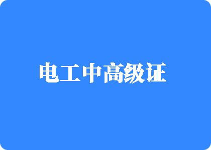 17C抠阴道电工中高级证